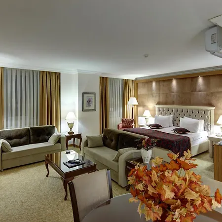 布鲁西耶酒店 锡瓦斯