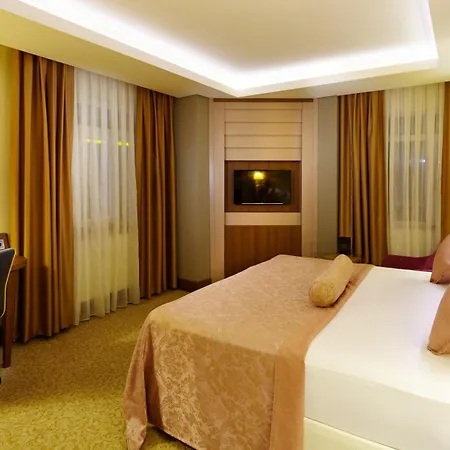 布鲁西耶酒店 4*