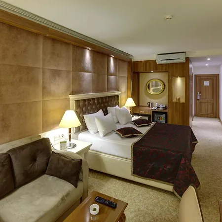 布鲁西耶酒店 4*