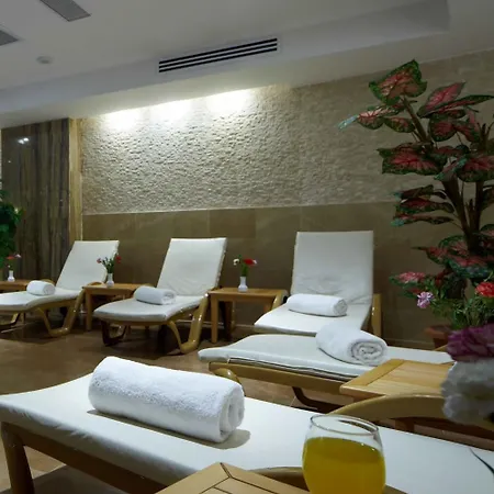 布鲁西耶酒店 酒店 锡瓦斯