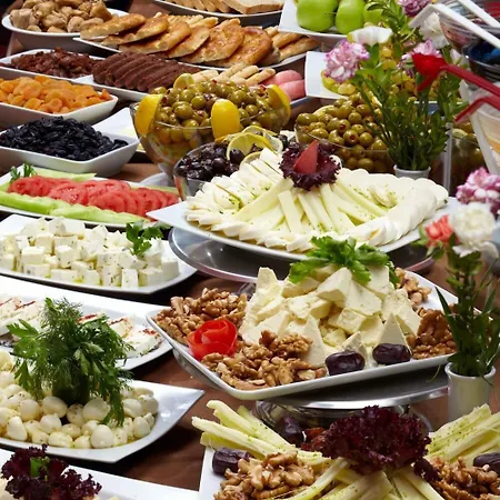 酒店 布鲁西耶酒店