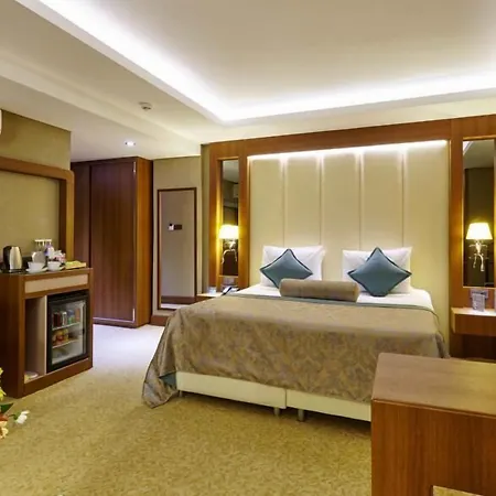 酒店 布鲁西耶酒店 锡瓦斯