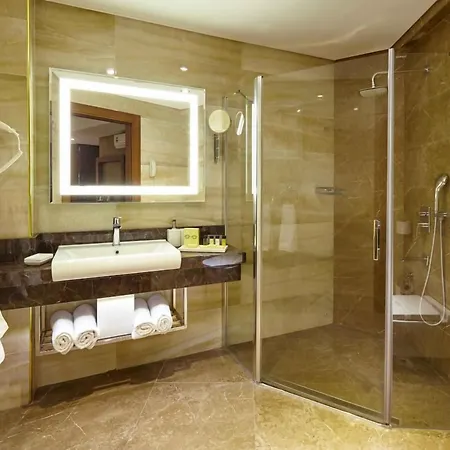 布鲁西耶酒店 酒店 4*