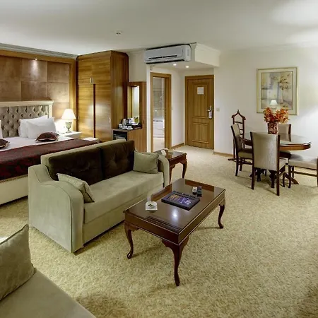 酒店 布鲁西耶酒店 锡瓦斯